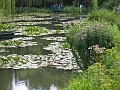 31 Giverny waterlillies